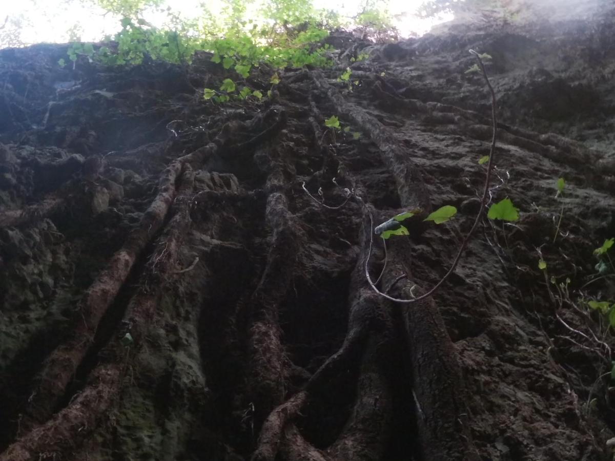 Appartamento A Pula In Zona Residenziale Exterior foto